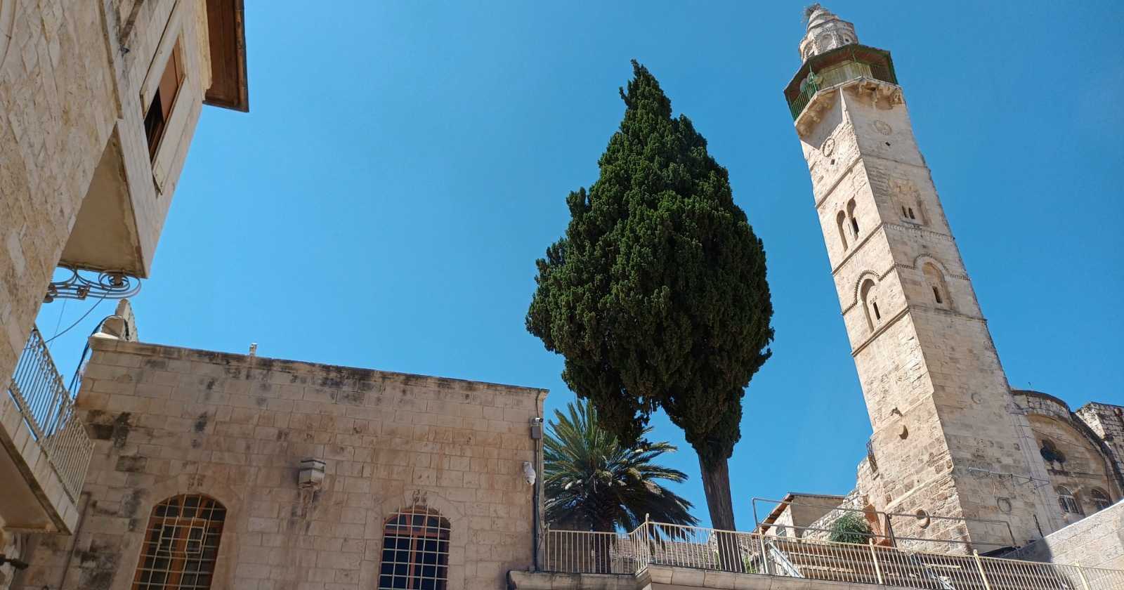 “Não me deram ouvidos, nem inclinaram os seus ouvidos”