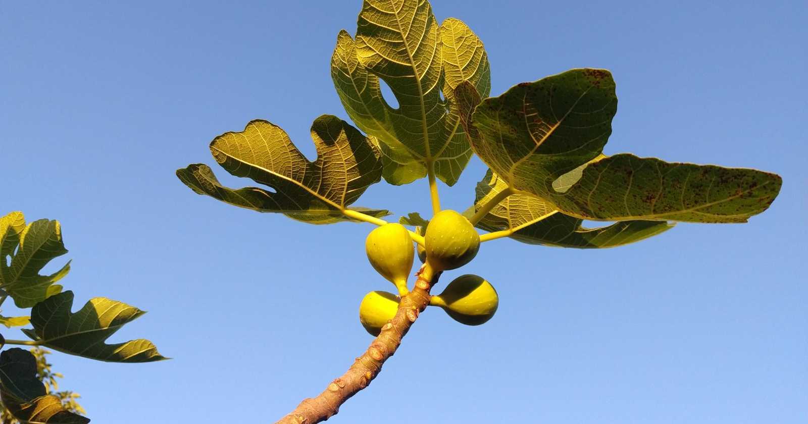 Deus avisa a proximidade do cumprimento das profecias