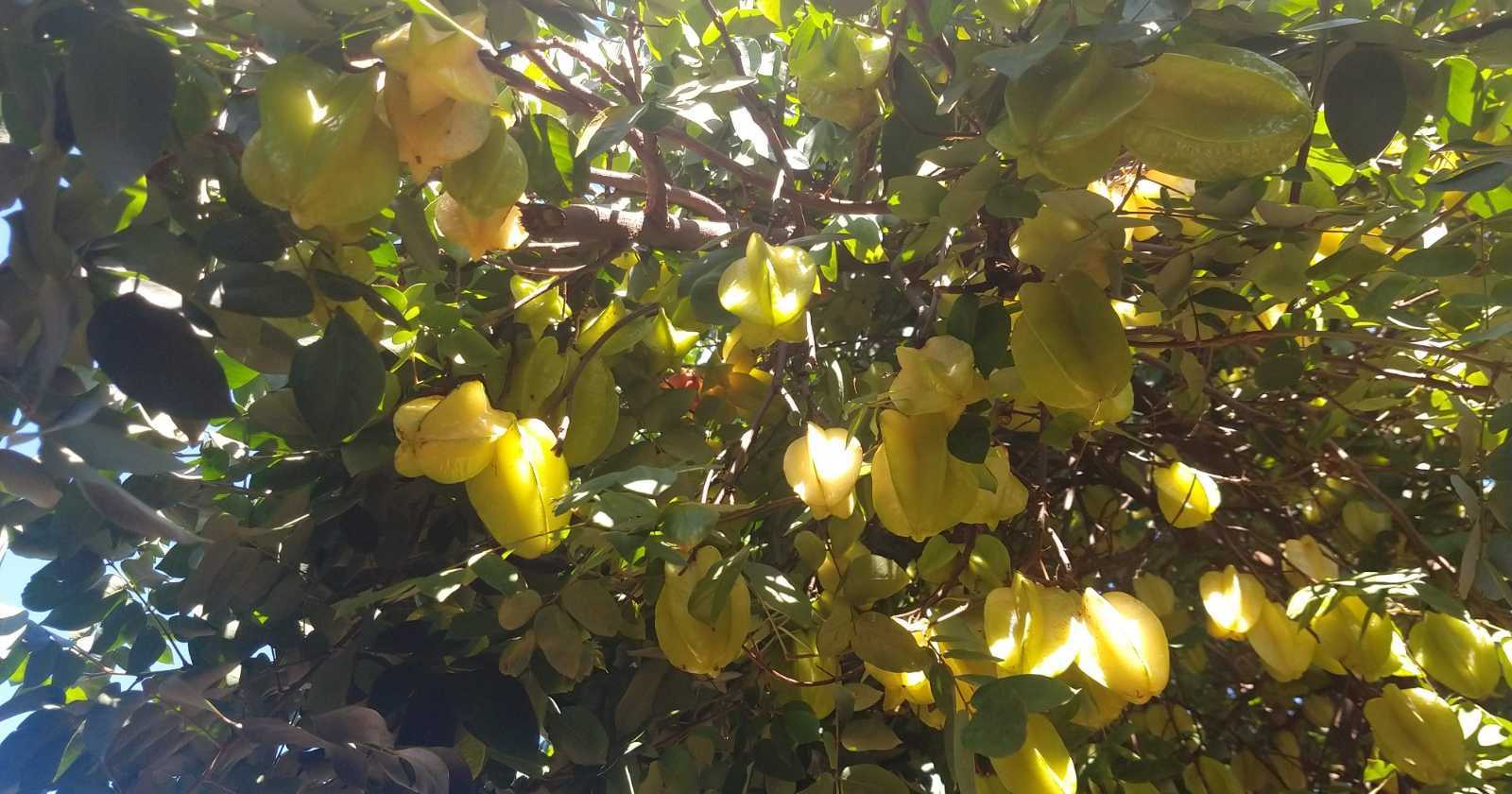 Toda fé precisa ser útil