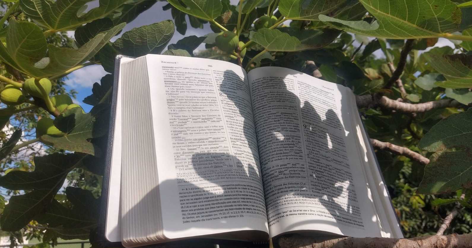 Tempo da visitação: Como estaremos quando Deus vier?