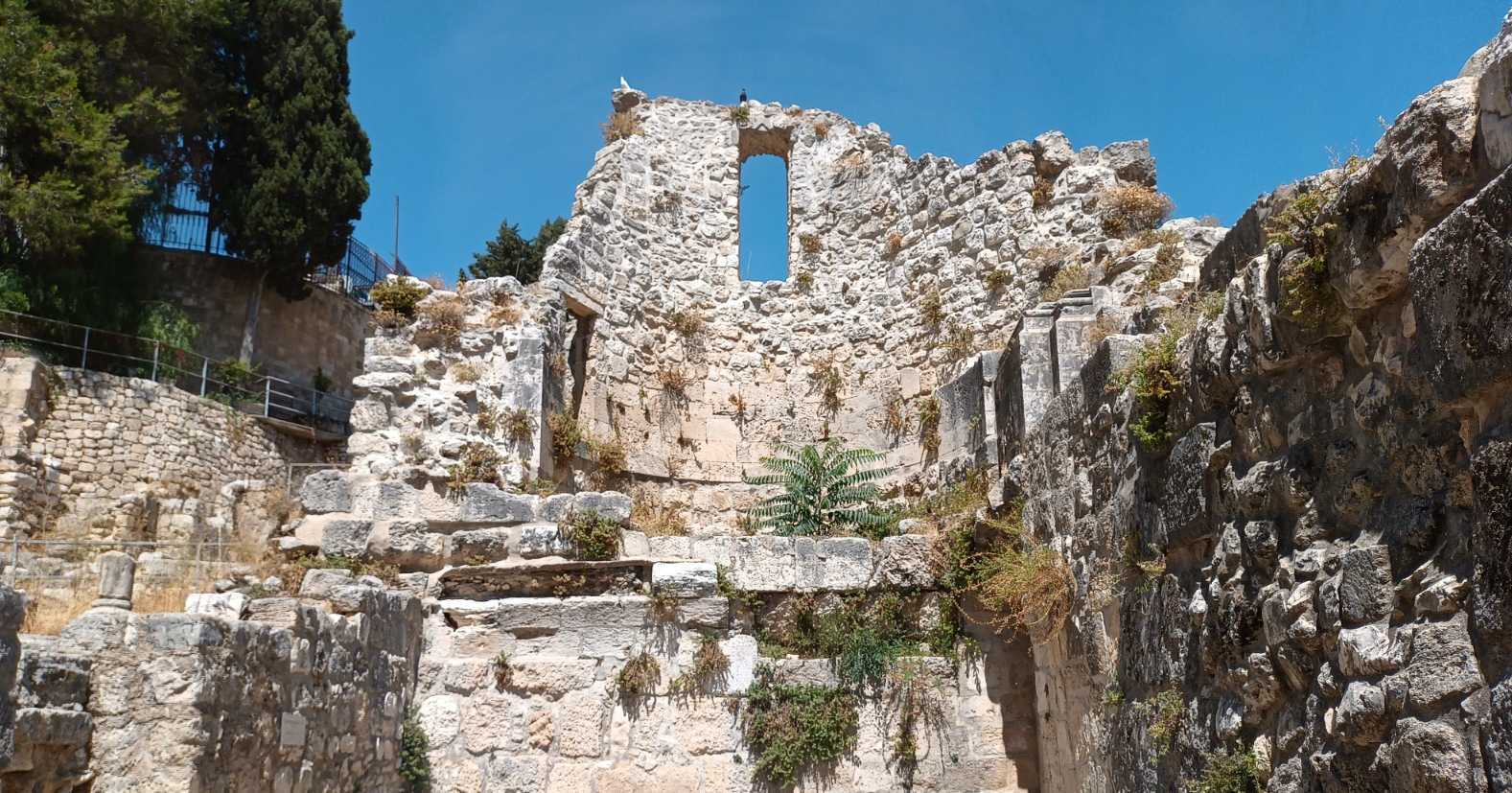 Feiticeiros são perseguidos pela desgraça familiar