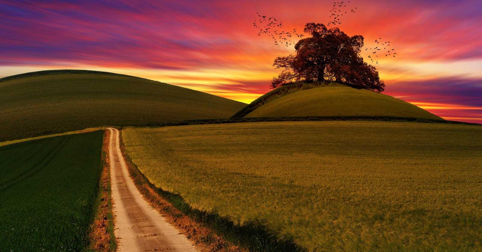 Cristo é o Único Senhor