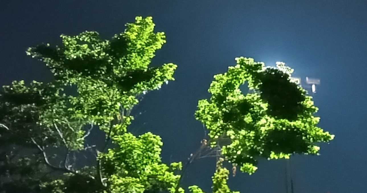 Como é bom ser chamado por Deus!