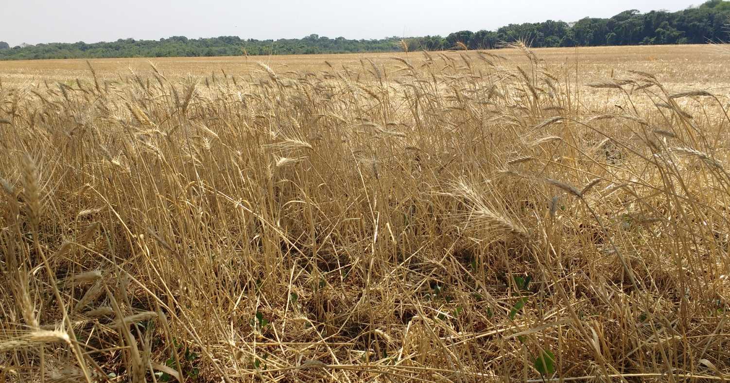 Expulsão de demônios por Filipe na Samaria