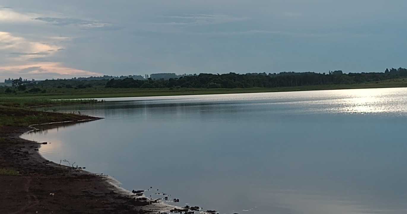 Inconvertido: Deixe de aprender com a Serpente