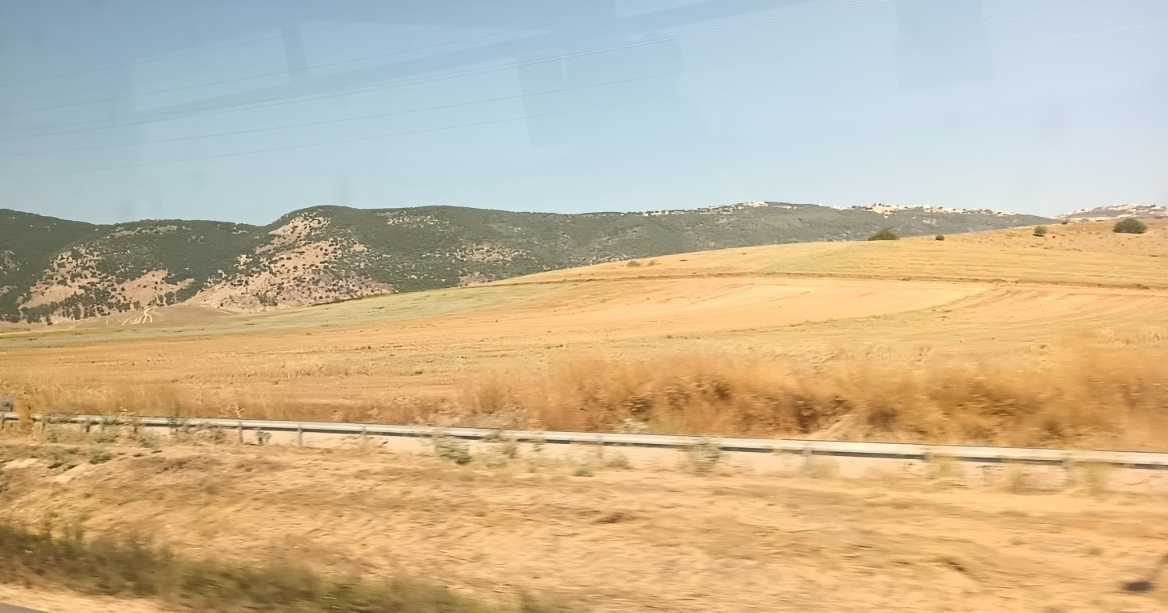 A sede da corça: Só Deus pode saciar a sede da alma