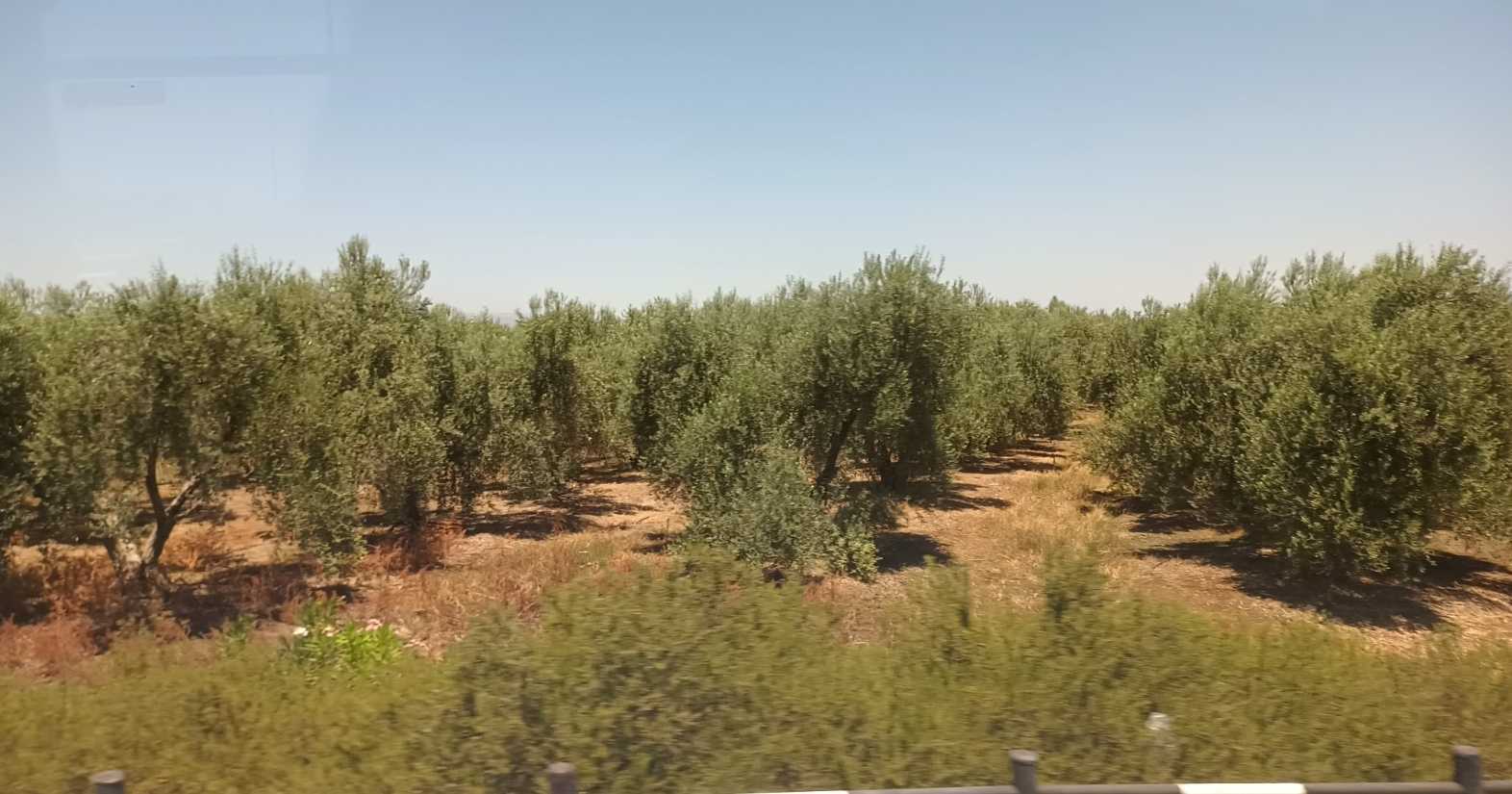 Deus também transforma bênção em maldição - Parte II