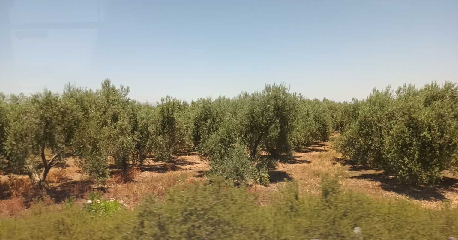 Deus também transforma bênção em maldição - Parte I