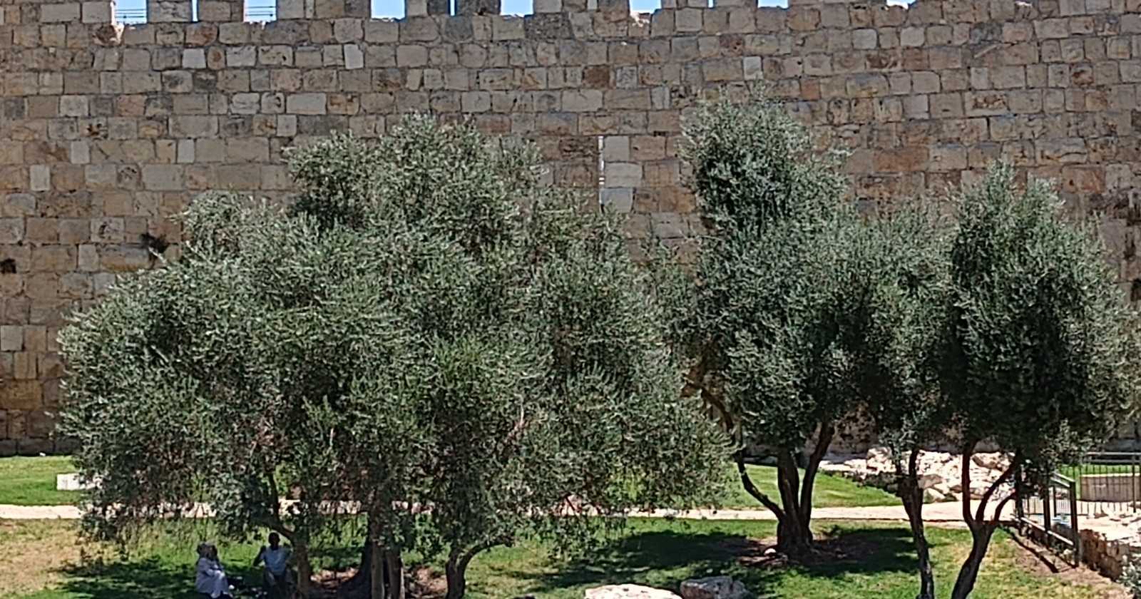 Nem tudo que o filho pedir deve ser atendido