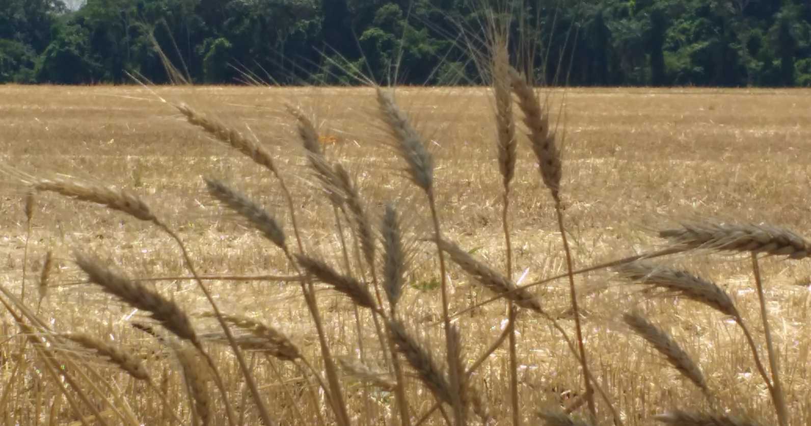 O amor apaga multidão de pecados