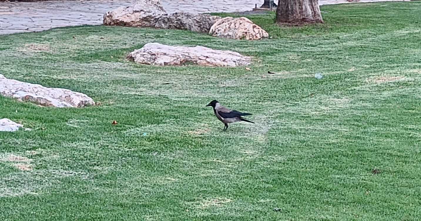 Os limites da liberdade cristã