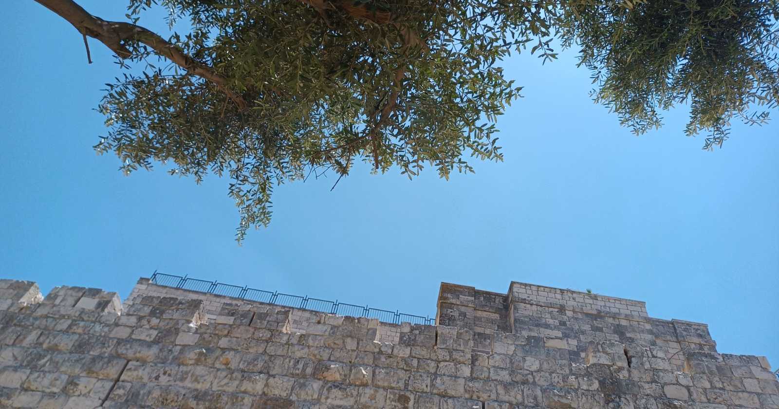 Fé bíblica x razão humana