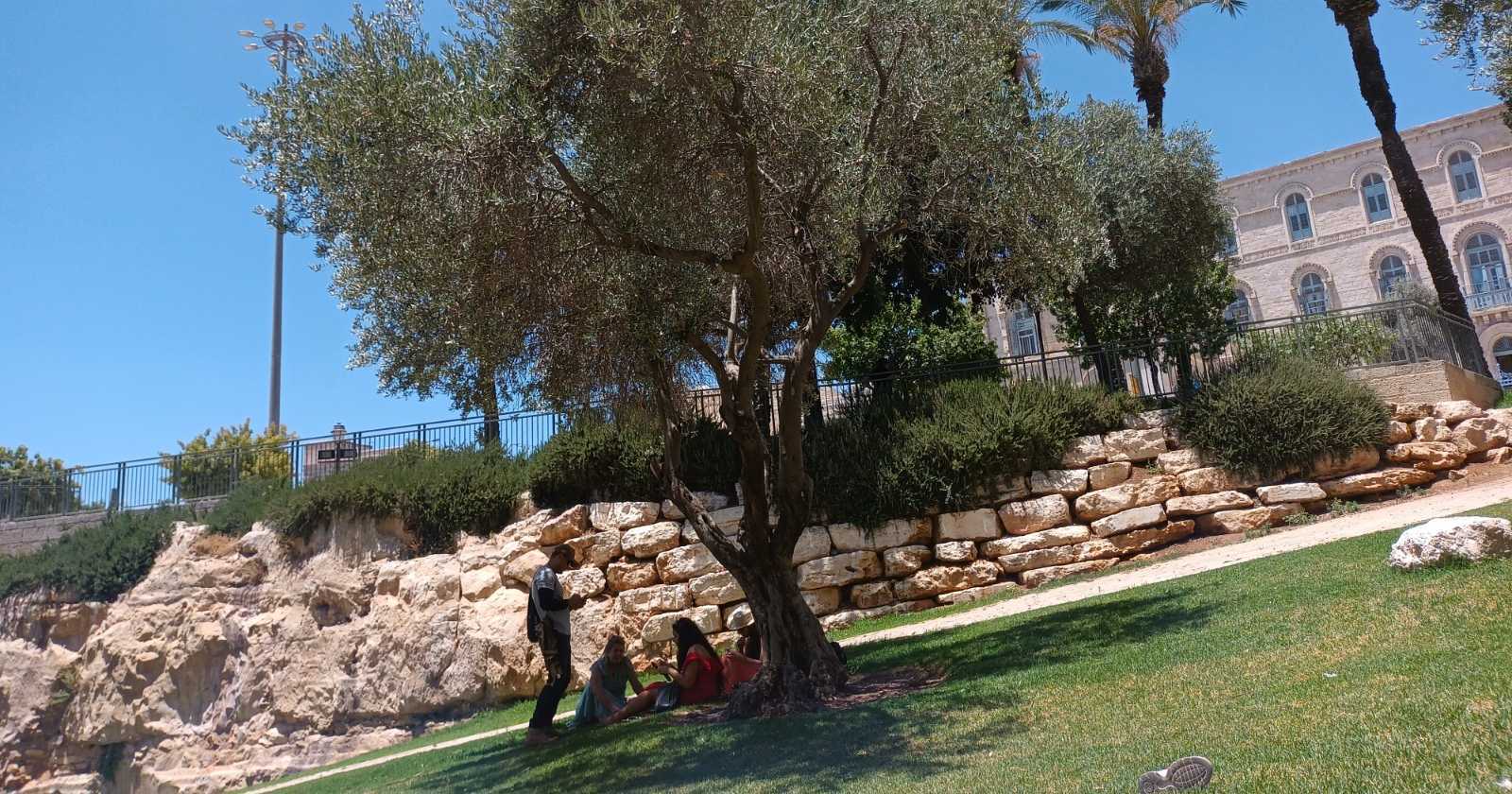 Família biológica x Família espiritual